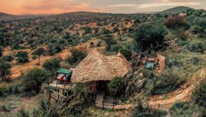 Loisaba Star Beds 