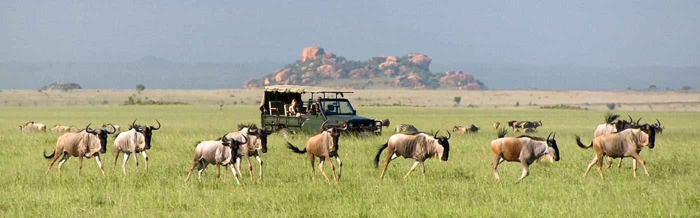 Chyulu Hills