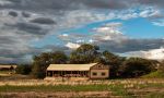 Desert Rhino Camp