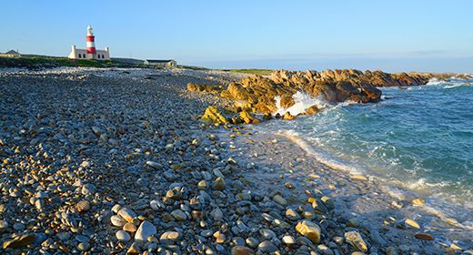 Overberg and Whale Coast