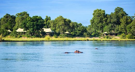 zim_tembo_banner_large.jpg
