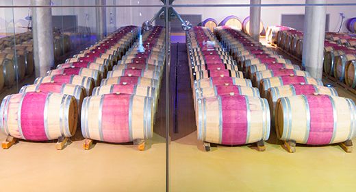Wine Tours