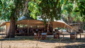 Little Ruckomechi Camp