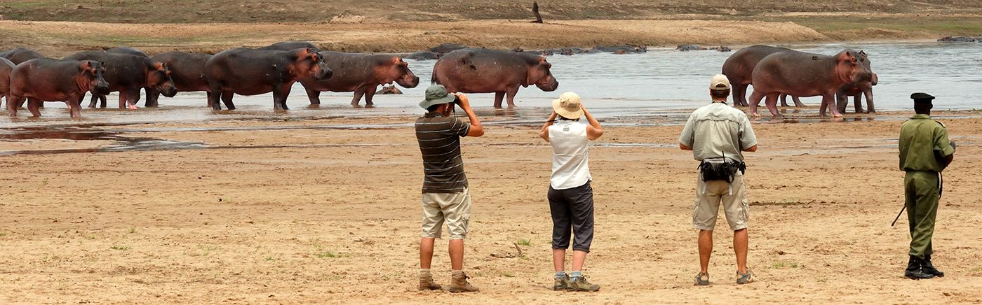 North Luangwa