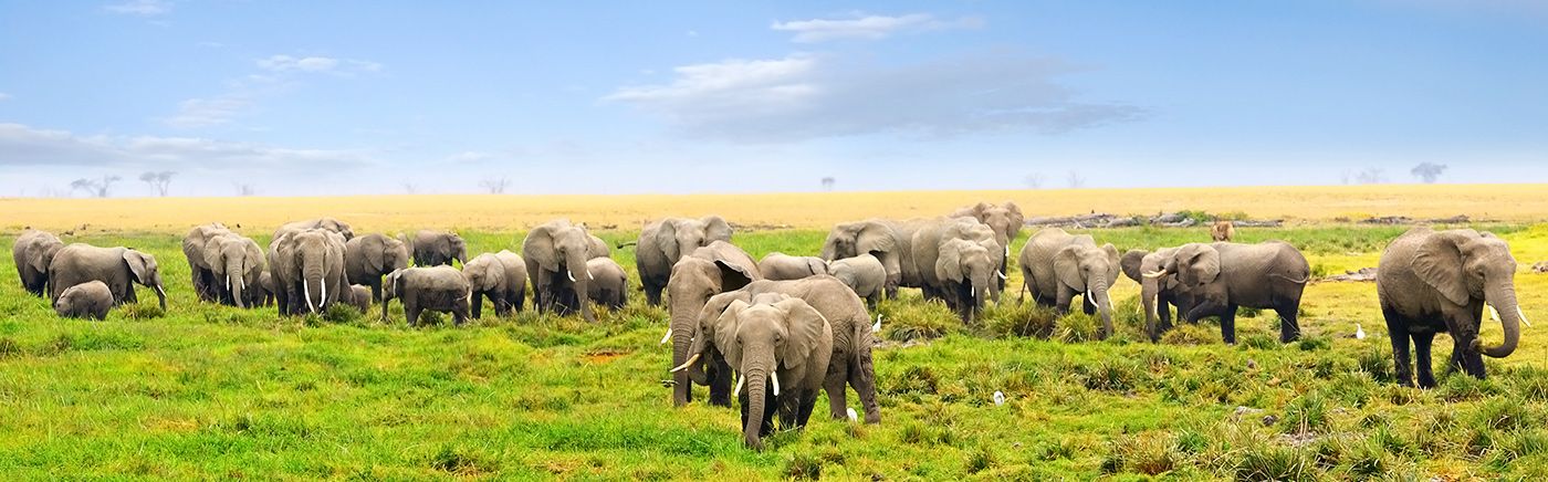 Amboseli National Park