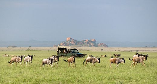 Chyulu Hills
