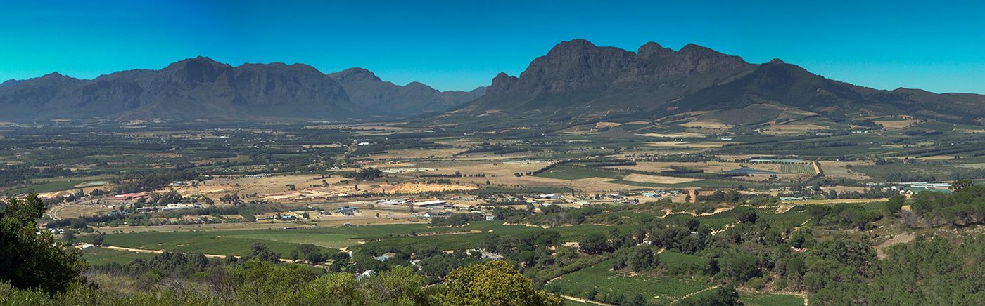 Mountains & Vineyards
