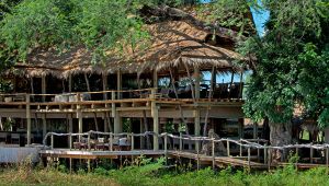 Nyamatusi Camp