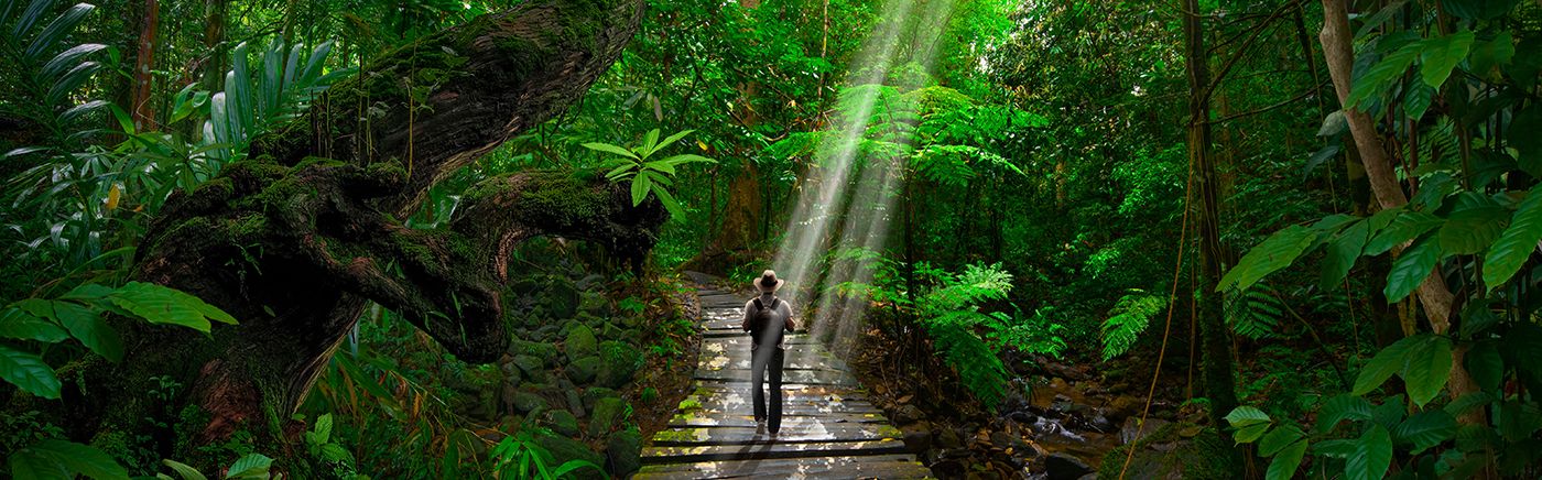 Nature
