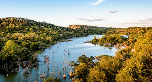 zim_singita_pamushana_banner_large.jpg