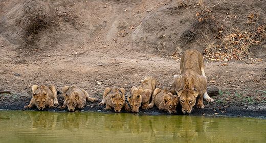 See the Big Five