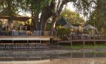 Kanga Camp