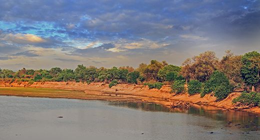 Luangwa River