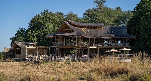 zim_nyamatusi_mahogany_banner_large.jpg