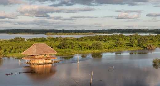 Perú Amazon North