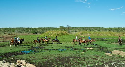 Laikipia Ranches