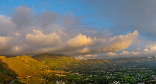 Constantia Winelands