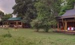 Elephant Pepper Camp