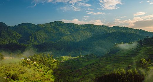 Bwindi National Park