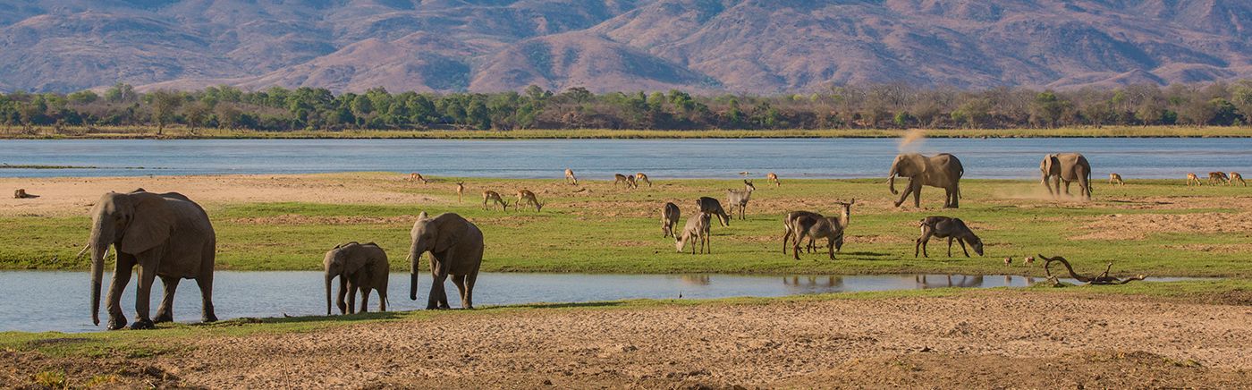 Mana Pools