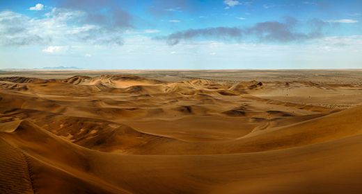 Dune Sea