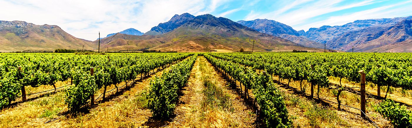 Breede River Valley Winelands