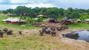 Somalisa Acacia Camp