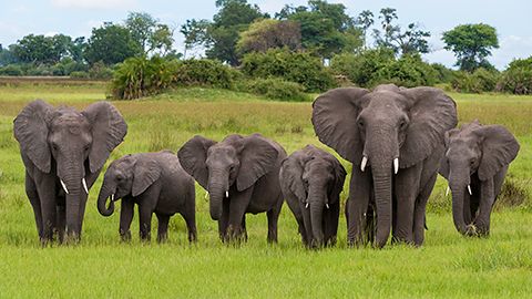 Our African Destinations