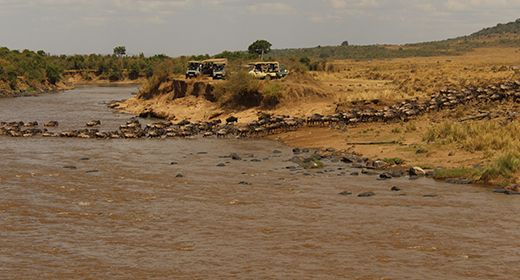 The Great Migration