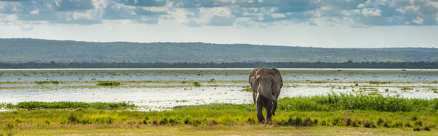 Uganda