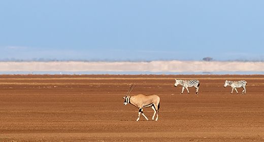 Seasonally Dry