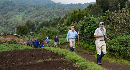 Gorilla Trekking