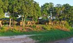 Sand River Mara Camp