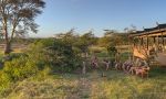 Ol Pejeta Bush Camp