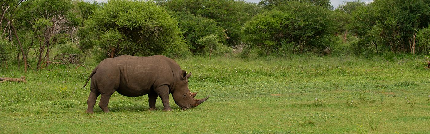 Endangered Species