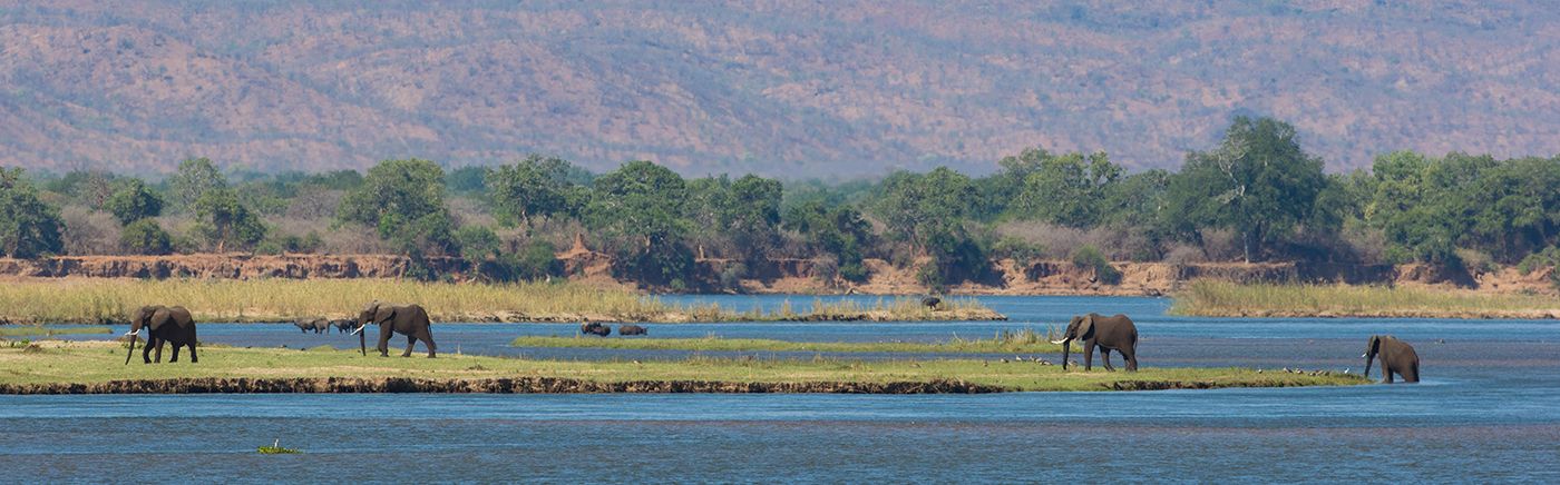 Lower Zambezi - Zambia