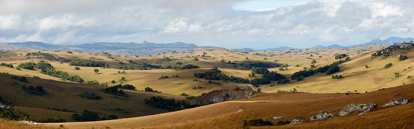Wild and Beautiful Malawi
