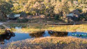 Okavango Explorers Camp