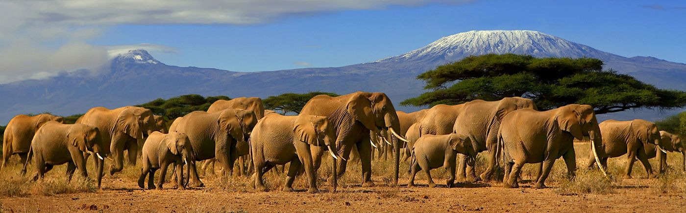 World Heritage Site