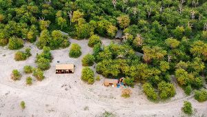 Migration Expeditions Camp