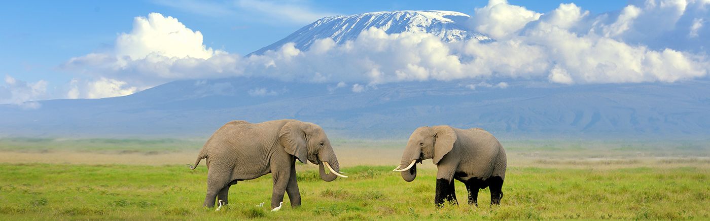 Amboseli