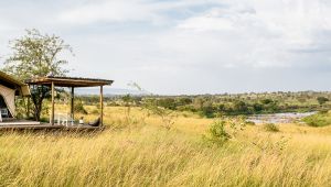 Singita Mara River Tented Camp