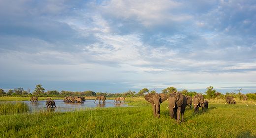 Botswana