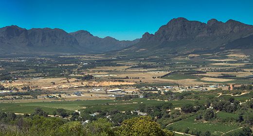Mountains & Vineyards