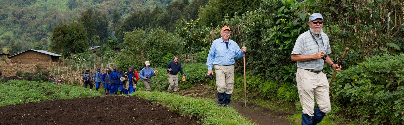Gorilla Trekking