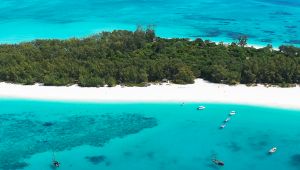 Mnemba Island