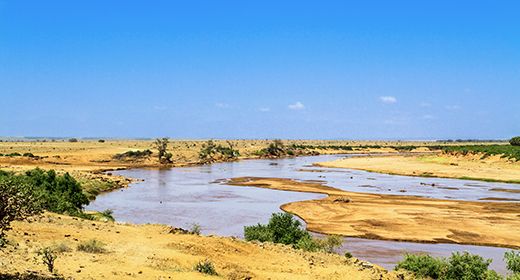 Rivers of Life