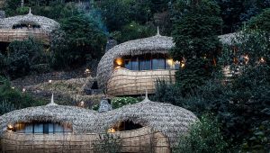 Bisate Lodge