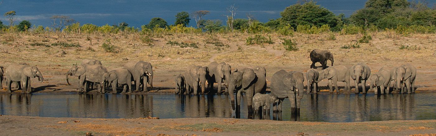 Hwange