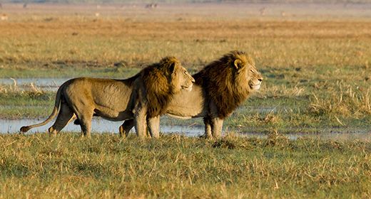 Northern Kafue